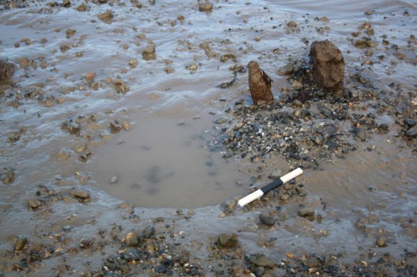 Chichester Harbour - Maritime Archaeology Trust