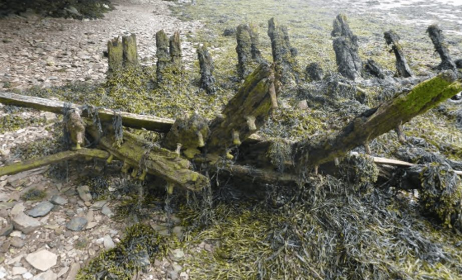 Frames and fastenings of a Brixham fishing vessel