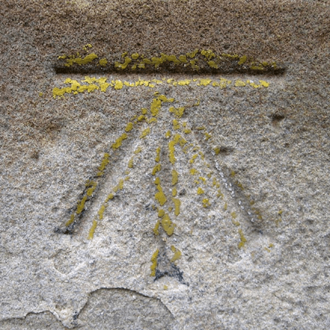 newlyn ordnance bench mark